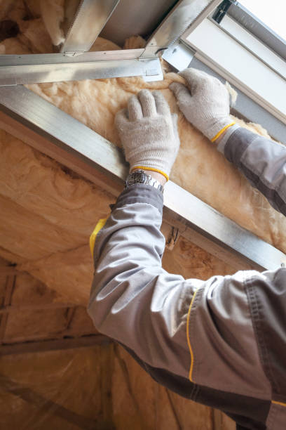 Types of Insulation We Offer in Freeland, WA