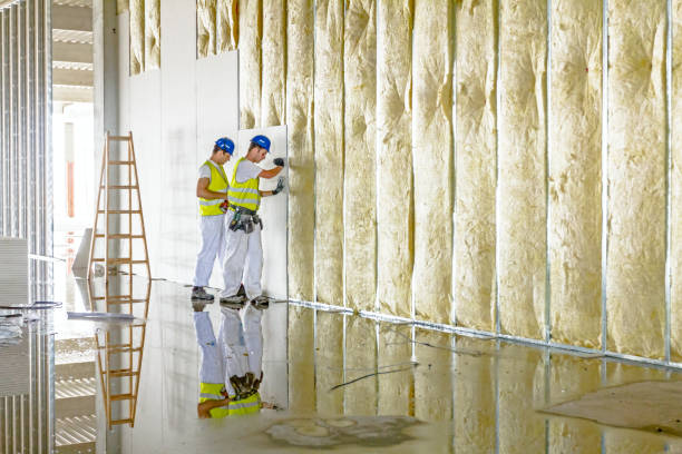 Best Insulation Maintenance and Repair in Freeland, WA